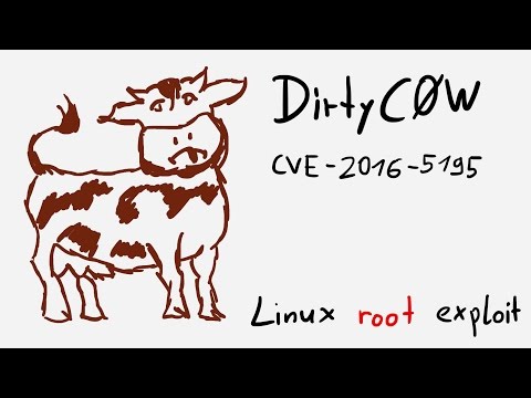 Dirty COW exploit